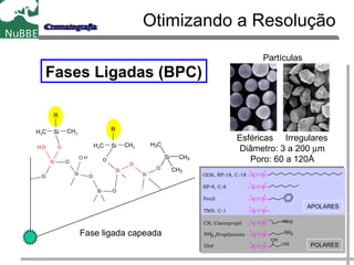 Otimizando a Resolução
Esféricas Irregulares
Diâmetro: 3 a 200 µm
Poro: 60 a 120Å
Partículas
Fases Ligadas (BPC)
Si O Si
Si O Si
Si O Si
Si O Si
Si O Si N
Si O Si NH2
Si O Si
OH
OH
ODS, RP-18, C-18
RP-8, C-8
Fenil
CN, Cianopropil
NH2,Propilamino
TMS, C-1
Diol
APOLARES
POLARES
Si O
OH
O
O
Si
O
CH 3
Si O
CH 3
C H 3
Si
O
O
C H 3
Si
O
CH 3
CH 3
O H
SiH 3
Si
R
CH3H3C
Si
R
CH3H3C
Si CH3
CH3
CH3
Fase ligada capeada
 