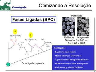 Otimizando a Resolução
Fases Ligadas (BPC)
Si O
OH
O
O
Si
O
CH 3
Si O
CH 3
C H 3
Si
O
O
C H 3
Si
O
CH 3
CH 3
O H
SiH 3
Si
R
CH3H3C
Si
R
CH3H3C
Si CH3
CH3
CH3
Fase ligada capeada
Vantagens:Vantagens:
- Equilíbrio mais rápido
- Menor adsorção irreversível
- Água não influi na reprodutibilidade
- Sítios de adsorção mais homogêneos
- Eluição em gradiente facilitada
Esféricas Irregulares
Diâmetro: 3 a 200 µm
Poro: 60 a 120Å
Partículas
 