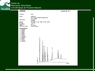 Núcleo de
Bioensaios, Biossíntese
e Ecofisiologia de Produtos Naturais
 