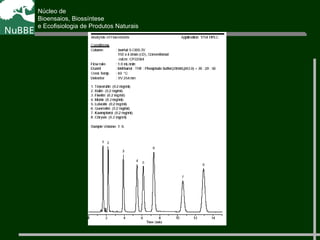 Núcleo de
Bioensaios, Biossíntese
e Ecofisiologia de Produtos Naturais
 