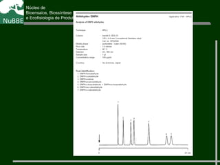 Núcleo de
Bioensaios, Biossíntese
e Ecofisiologia de Produtos Naturais
 