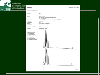 Núcleo de
Bioensaios, Biossíntese
e Ecofisiologia de Produtos Naturais
 