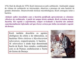 No final da década de 1870, Koch interessou-se pelo carbúnculo. Analisando sangue
de vítimas do carbúnculo ao microscópio, observou a presença de uma bactéria de
grandes dimensões. Desenvolvendo técnicas microbiológicas, Koch conseguiu isolar a
bactéria.
Animais sadios inoculados com a bactéria purificada apresentavam os sintomas
clássicos do carbúnculo. A partir do sangue destes animais, Koch re-isolou mesma
bactéria. Ele repetiu o experimento, sempre re-isolando a bactéria dos animais
experimentalmente infectados até que tivesse certeza que tinha encontrado o agente
da doença.
Koch também descobriu os agentes
etiológicos da cólera e da tuberculose, as
bactérias Vibrio cholerae e Mycobacterium
tuberculosis, respectivamente. A bactéria
M. tuberculosis é ainda hoje denominada
bacilo de Koch. Seus estudos, combinados
com os de Pasteur, estabeleceram a Teoria
do Germe da Doença.
 