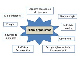 Micro-organismos
Agentes causadores
de doenças
Indústria de
alimentos
Indústria
química
Indústria
farmacêutica
Agricultura
Biotecnologia
Energia
Recuperação ambiental
biorremediação
Meio ambiente
 