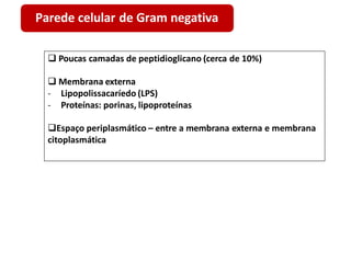  Poucas camadas de peptidioglicano (cerca de 10%)
 Membrana externa
- Lipopolissacaríedo (LPS)
- Proteínas: porinas, lipoproteínas
Espaço periplasmático – entre a membrana externa e membrana
citoplasmática
Parede celular de Gram negativa
 