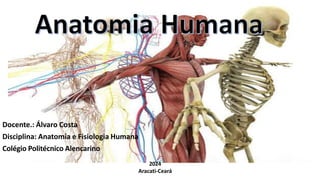 Docente.: Álvaro Costa
Disciplina: Anatomia e Fisiologia Humana
Colégio Politécnico Alencarino
2024
Aracati-Ceará
 