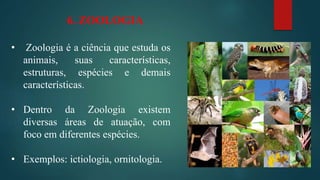 AULA 01- INTRODUÇÃO AO ESTUDO DA BIOLOGIA..pptx