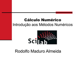 Cálculo Numérico
Introdução aos Métodos Numéricos




 Rodolfo Maduro Almeida
 