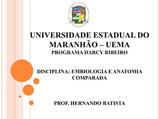 UNIVERSIDADE ESTADUAL DO
MARANHÃO – UEMA
PROGRAMA DARCY RIBEIRO
DISCIPLINA: EMBIOLOGIA E ANATOMIA
COMPARADA
PROF. HERNANDO BATISTA
 