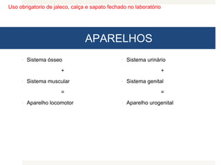 Uso obrigatorio de jaleco, calça e sapato fechado no laboratório
APARELHOS
 Sistema ósseo
+
 Sistema muscular
=
 Aparelho locomotor
 Sistema urinário
+
 Sistema genital
=
 Aparelho urogenital
 