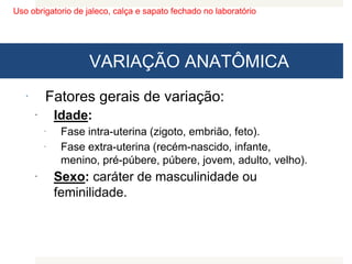 Uso obrigatorio de jaleco, calça e sapato fechado no laboratório
VARIAÇÃO ANATÔMICA
 Fatores gerais de variação:
 Idade:
 Fase intra-uterina (zigoto, embrião, feto).
 Fase extra-uterina (recém-nascido, infante,
menino, pré-púbere, púbere, jovem, adulto, velho).
 Sexo: caráter de masculinidade ou
feminilidade.
 