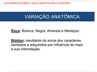 Uso obrigatorio de jaleco, calça e sapato fechado no laboratório
VARIAÇÃO ANATÔMICA
 Raça: Branca, Negra, Amarela e Mestiços.
 Biótipo: resultante da soma dos caracteres
herdados e adquiridos por influência do meio
e sua interrelação.
 