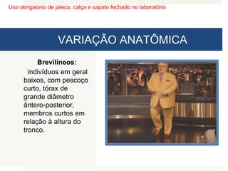 Uso obrigatorio de jaleco, calça e sapato fechado no laboratório
VARIAÇÃO ANATÔMICA
Brevilíneos:
indivíduos em geral
baixos, com pescoço
curto, tórax de
grande diâmetro
ântero-posterior,
membros curtos em
relação à altura do
tronco.
 