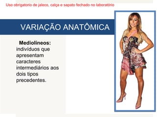 Uso obrigatorio de jaleco, calça e sapato fechado no laboratório
VARIAÇÃO ANATÔMICA
Mediolíneos:
indivíduos que
apresentam
caracteres
intermediários aos
dois tipos
precedentes.
 