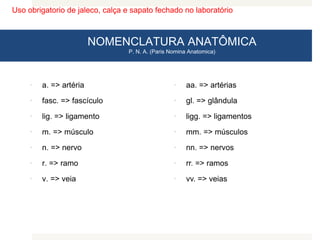 Uso obrigatorio de jaleco, calça e sapato fechado no laboratório
NOMENCLATURA ANATÔMICA
P. N. A. (Paris Nomina Anatomica)
 a. => artéria
 fasc. => fascículo
 lig. => ligamento
 m. => músculo
 n. => nervo
 r. => ramo
 v. => veia
 aa. => artérias
 gl. => glândula
 ligg. => ligamentos
 mm. => músculos
 nn. => nervos
 rr. => ramos
 vv. => veias
 