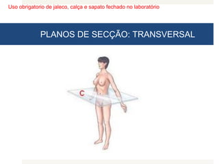 Uso obrigatorio de jaleco, calça e sapato fechado no laboratório
PLANOS DE SECÇÃO: TRANSVERSAL
 