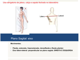 Uso obrigatorio de jaleco, calça e sapato fechado no laboratório
Plano Sagital: eixo
Movimentos:
• Flexão, extensão, hiperextensão, dorsoflexão e flexão plantar;
• Eixo látero-lateral: perpendicular ao plano sagital. DIREITA E ESQUERDA
 