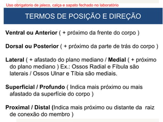 Uso obrigatorio de jaleco, calça e sapato fechado no laboratório
TERMOS DE POSIÇÃO E DIREÇÃO
Ventral ou Anterior ( + próximo da frente do corpo )
Dorsal ou Posterior ( + próximo da parte de trás do corpo )
Lateral ( + afastado do plano mediano / Medial ( + próximo
do plano mediano ) Ex.: Ossos Radial e Fíbula são
laterais / Ossos Ulnar e Tíbia são mediais.
Superficial / Profundo ( Indica mais próximo ou mais
afastado da superfície do corpo )
Proximal / Distal (Indica mais próximo ou distante da raiz
de conexão do membro )
 