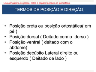 Uso obrigatorio de jaleco, calça e sapato fechado no laboratório
TERMOS DE POSIÇÃO E DIREÇÃO
• Posição ereta ou posição ortostática( em
pé )
• Posição dorsal ( Deitado com o dorso )
• Posição ventral ( deitado com o
abdome)
• Posição decúbito Lateral direito ou
esquerdo ( Deitado de lado )
 