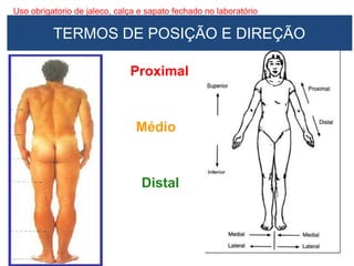 Uso obrigatorio de jaleco, calça e sapato fechado no laboratório
Proximal
Médio
Distal
TERMOS DE POSIÇÃO E DIREÇÃO
 