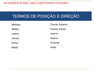 Uso obrigatorio de jaleco, calça e sapato fechado no laboratório
TERMOS DE POSIÇÃO E DIREÇÃO
 Mediano
 Medial
 Lateral
 Ventral
 Dorsal
 Média
 Cranial; Superior
 Caudal; Inferior
 Interno
 Externo
 Proximal
 Distal
 