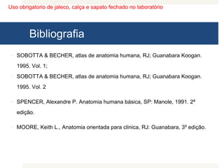 Uso obrigatorio de jaleco, calça e sapato fechado no laboratório
Bibliografia
 SOBOTTA & BECHER, atlas de anatomia humana, RJ; Guanabara Koogan.
1995. Vol. 1;
 SOBOTTA & BECHER, atlas de anatomia humana, RJ; Guanabara Koogan.
1995. Vol. 2
 SPENCER, Alexandre P. Anatomia humana básica, SP: Manole, 1991. 2ª
edição.
 MOORE, Keith L., Anatomia orientada para clinica, RJ: Guanabara, 3º edição.
 