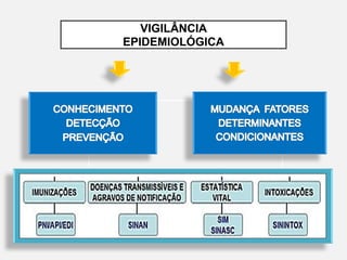 VIGILÂNCIA
EPIDEMIOLÓGICA
 