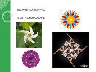 SIMETRIA / ASSIMETRIA
SIMETRIA ROTACIONAL
 