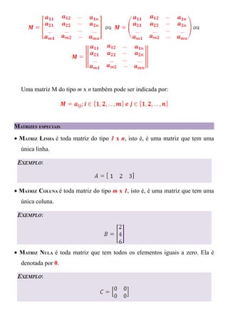 Aula 01 matriz | PDF