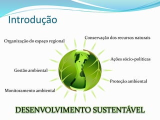 Introdução
Conservação dos recursos naturais
Organização do espaço regional
Ações sócio-políticas
Proteção ambiental
Monitoramento ambiental
Gestão ambiental
DESENVOLVIMENTO SUSTENTÁVEL
 