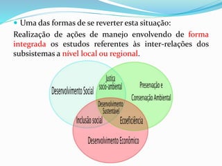  Uma das formas de se reverter esta situação:
Realização de ações de manejo envolvendo de forma
integrada os estudos referentes às inter-relações dos
subsistemas a nível local ou regional.
 
