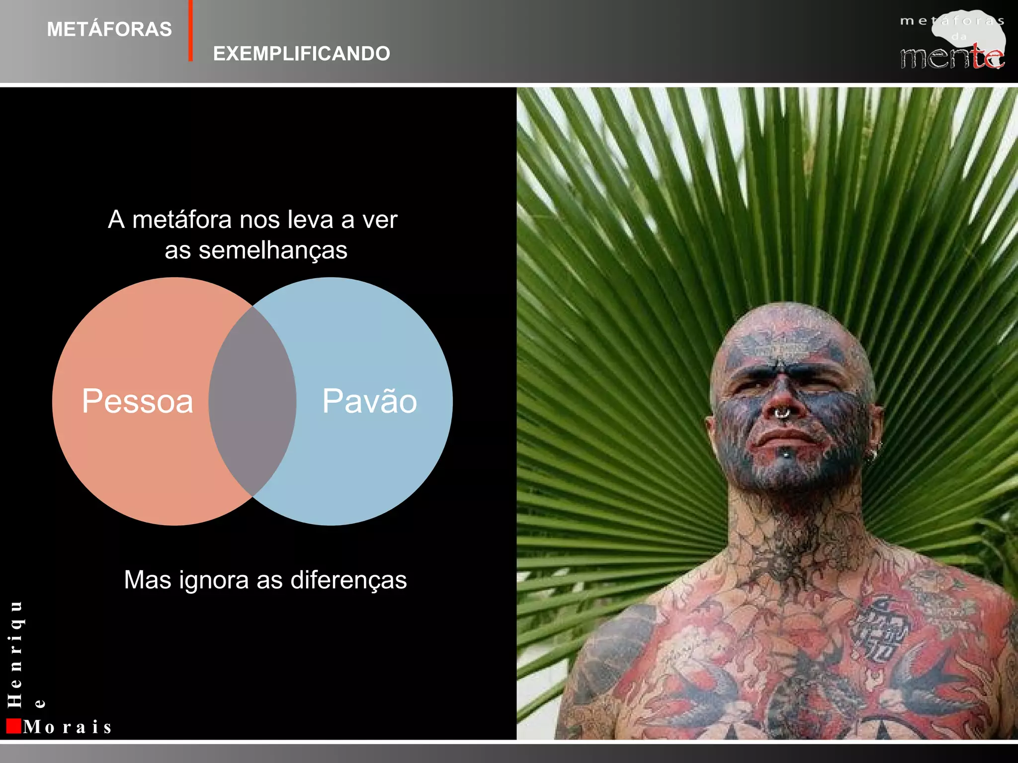 A metáfora e a nova retórica. 