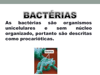 As bactérias são organismos
unicelulares e sem núcleo
organizado, portanto são descritas
como procarióticas.
 