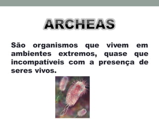 São organismos que vivem em
ambientes extremos, quase que
incompatíveis com a presença de
seres vivos.
 