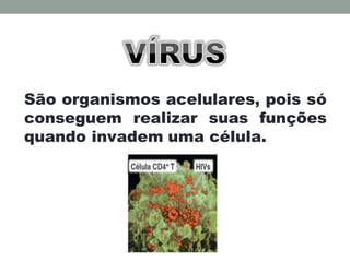 São organismos acelulares, pois só
conseguem realizar suas funções
quando invadem uma célula.
 