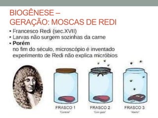 BIOGÊNESE –
GERAÇÃO: MOSCAS DE REDI
 
