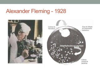 Alexander Fleming - 1928
 