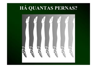 HÁ QUANTAS PERNAS?
 