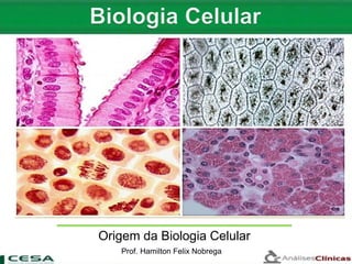 Origem da Biologia CelularOrigem da Biologia Celular
Prof. Hamilton Felix Nobrega
 