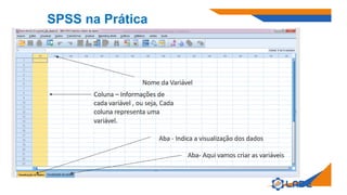 SPSS na Prática
 