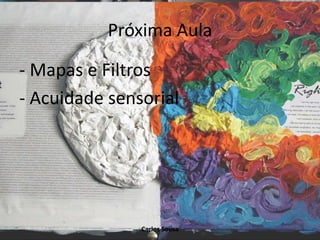 Próxima Aula
- Mapas e Filtros
- Acuidade sensorial
Carlos Sousa
 