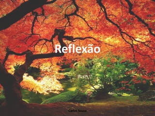 Reflexão
Carlos Sousa
 