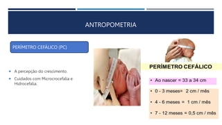 ANTROPOMETRIA
 A percepção do crescimento.
 Cuidados com Microcrocefalia e
Hidrocefalia.
PERÍMETRO CEFÁLICO (PC)
 
