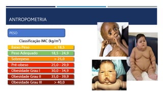 ANTROPOMETRIA
PESO
 
