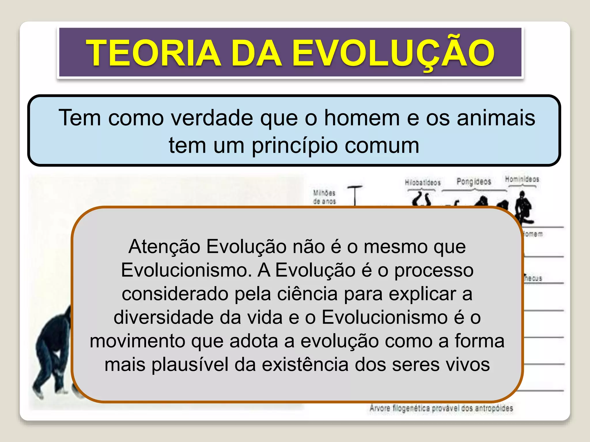 TEORIA DA EVOLUÇÃO
Tem como verdade que o homem e os animais
tem um princípio comum
Atenção Evolução não é o mesmo que
Evolucionismo. A Evolução é o processo
considerado pela ciência para explicar a
diversidade da vida e o Evolucionismo é o
movimento que adota a evolução como a forma
mais plausível da existência dos seres vivos
 