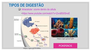 TIPOS DE DIGESTÃO
❑ Intracelular: ocorre dentro da célula
◦https://www.youtube.com/watch?v=ZxrsBS0SnoE
https://goo.gl/9YnNKe
https://goo.gl/azTqB9
PORÍFEROS
 
