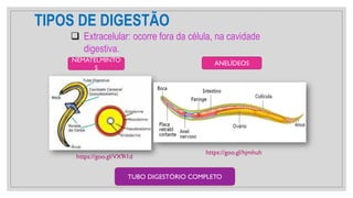 TIPOS DE DIGESTÃO
❑ Extracelular: ocorre fora da célula, na cavidade
digestiva.
https://goo.gl/VX9i1d
NEMATELMINTO
S
ANELÍDEOS
https://goo.gl/hjmhuh
TUBO DIGESTÓRIO COMPLETO
 