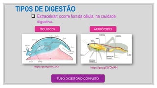 TIPOS DE DIGESTÃO
❑ Extracelular: ocorre fora da célula, na cavidade
digestiva.
https://goo.gl/unCdGi
MOLUSCOS ARTRÓPODES
https://goo.gl/SYDVAH
TUBO DIGESTÓRIO COMPLETO
 