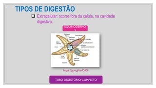 TIPOS DE DIGESTÃO
❑ Extracelular: ocorre fora da célula, na cavidade
digestiva.
https://goo.gl/unCdGi
EQUINODERMO
S
TUBO DIGESTÓRIO COMPLETO
 