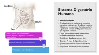 Sistema Digestório
Humano
◦ Intestino delgado
◦ O bolo alimentar transforma-se em quimo,
este sai do estômago em direção ao intestino
delgado por uma abertura chamada de piloro,
a qual, assim como a cárdia, possui músculos
que impedem o refluxo.
◦ Órgão tubular, musculoso e membranoso,
localizado na cavidade abdominal.
◦ Dividido em duodeno, jejuno e íleo.
◦ Ocorre a 3ª etapa da digestão química.
◦ Epitélio intestinal rico em microvilosidades.
◦ Responsável pela absorção dos nutrientes.
Quimo é digerido pelo suco entérico
• Enzimas digestivas – Peptidases;Carboidrases;
Lipase entérica.
Nutrientes absorvidos na mucosa intestinal
Vilosidades e microvilosidades
 